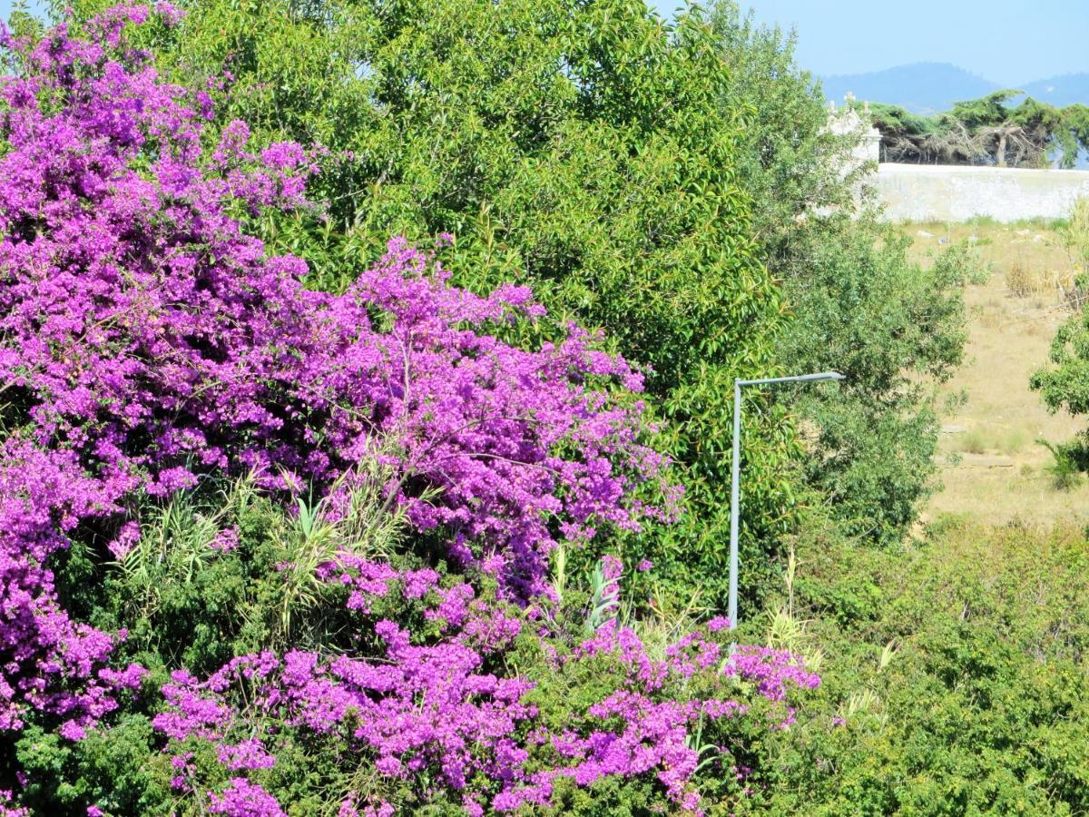 Cais Apartment By Stay In Alentejo Vila Nova de Milfontes Εξωτερικό φωτογραφία
